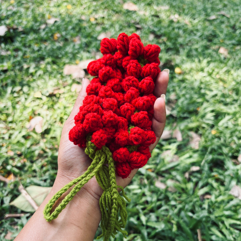KOMALA  (ಕೋಮಲ / कोमल) - Red Crochet Gajra