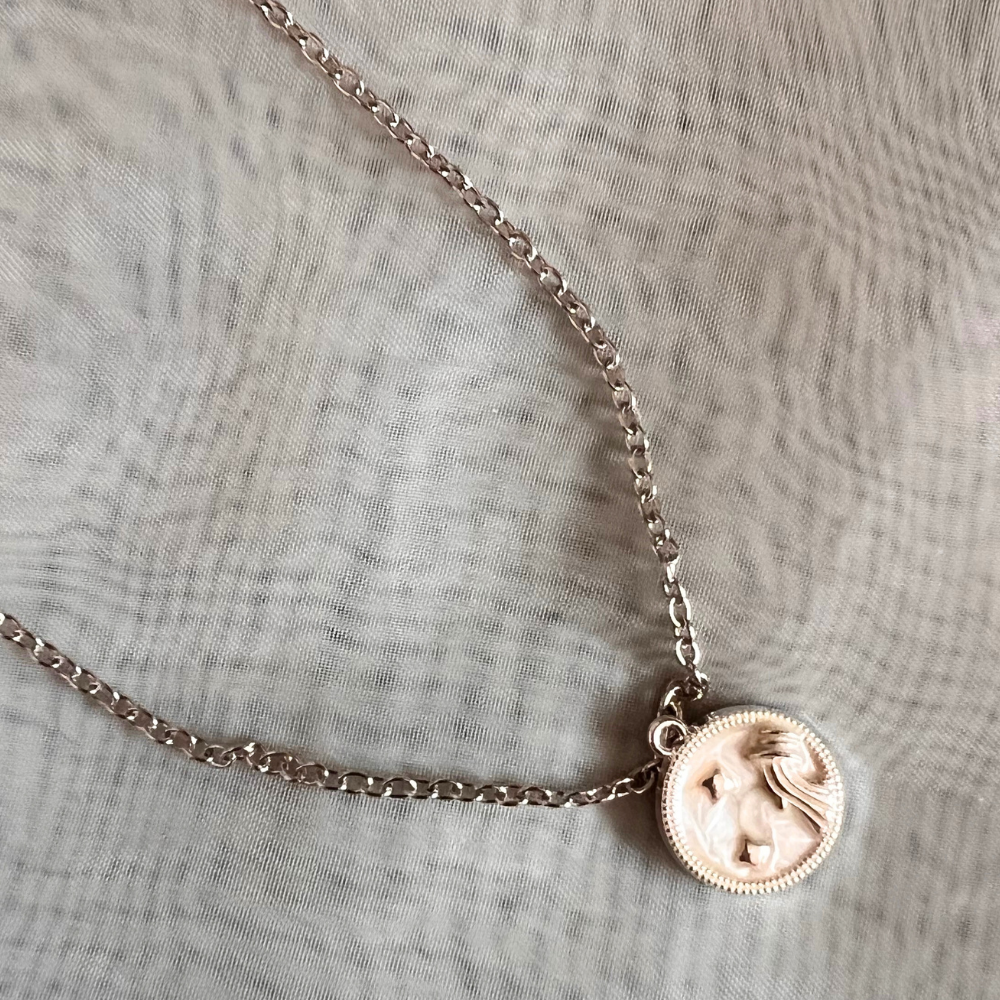 Zodiac Signs Chain - Silver