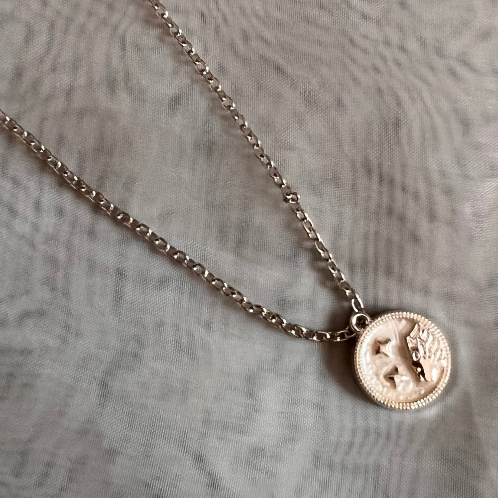 Zodiac Signs Chain - Silver