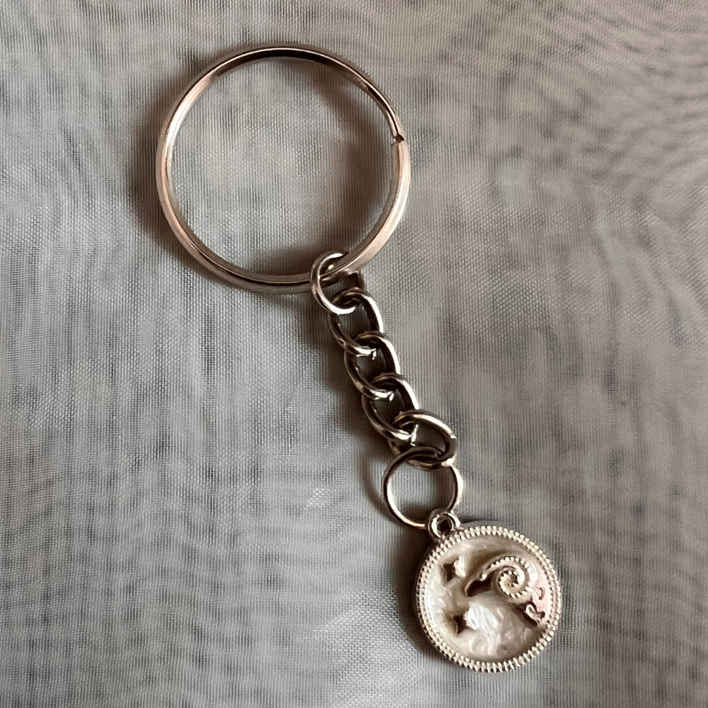 Zodiac Signs Keychain - Silver