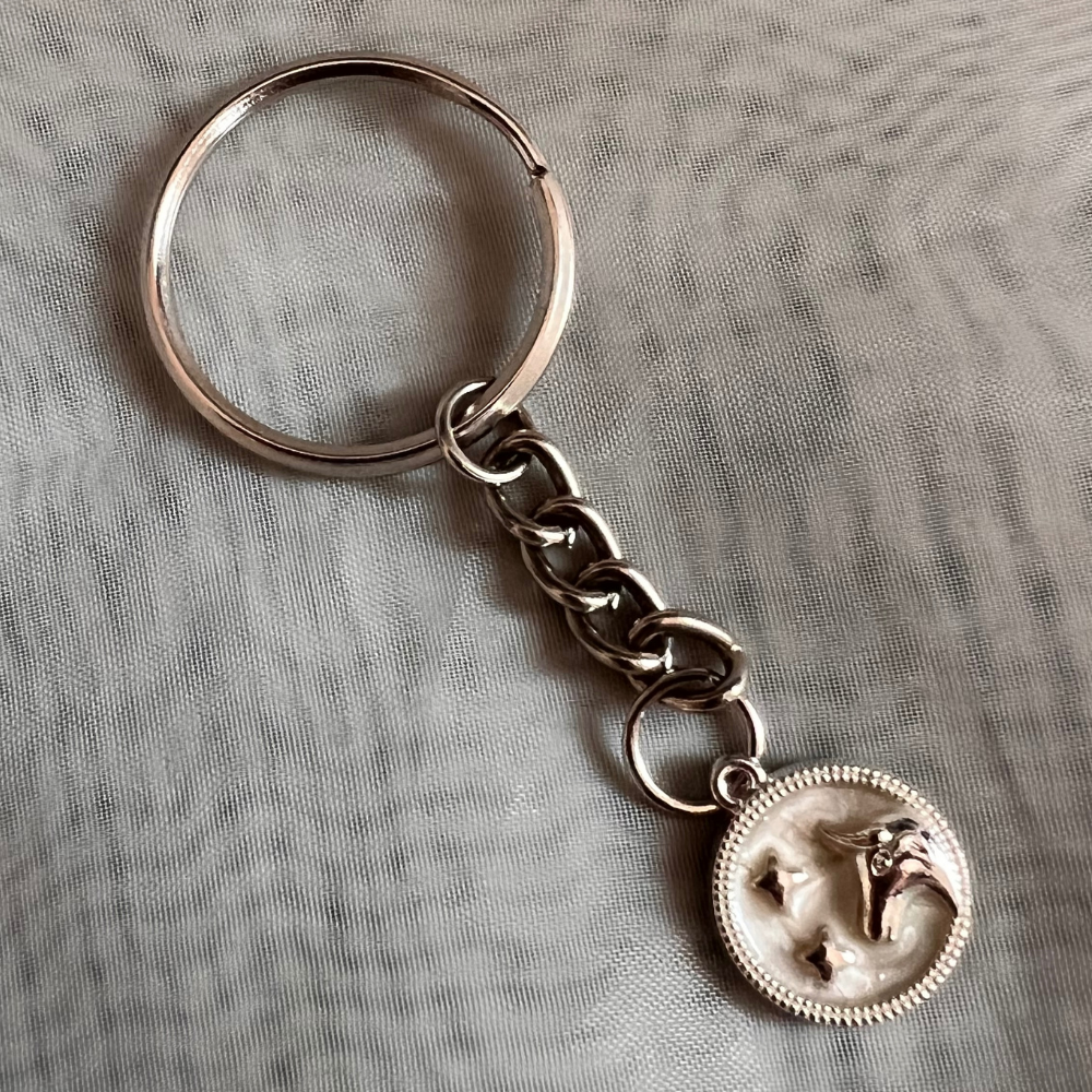 Zodiac Signs Keychain - Silver